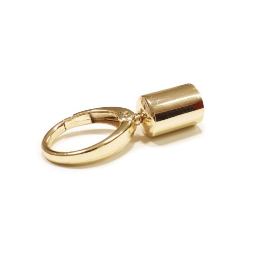 Handbag Strap Holder with Carabiner, Gold