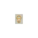 D-Ring With Clip, Gold