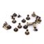 Belt Screw, 10x13 mm, Nickel